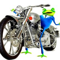 Frog series3  --biker frog