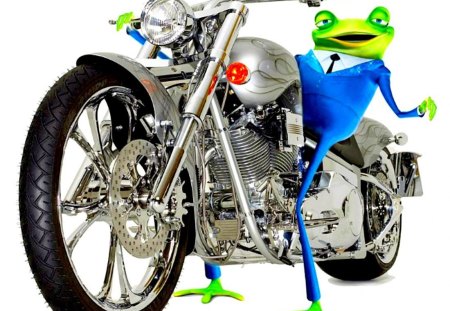 Frog series3  --biker frog