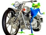 Frog series3  --biker frog