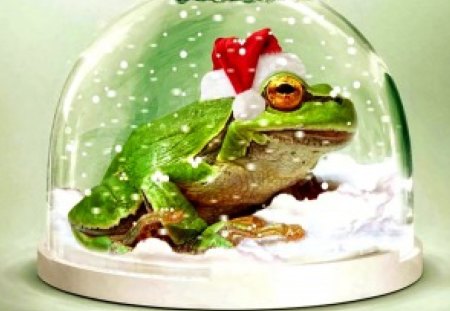 Frog series7  --Christmas green frog - christmas, green, frog, series