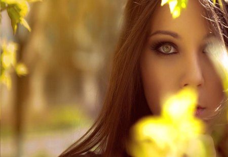 Brunette beauty - blooms, yellow, woman, beauty, brunette