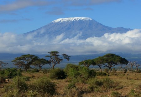 mount kilimanjoro - kilimanjoro, tanzania, mountain, africa