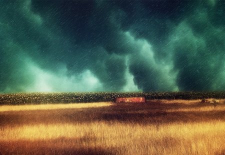 Storm - storm, landscape, grass, nature