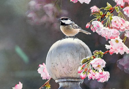 chickadee with cherry blossom - leaves, blossoms, bird, pink