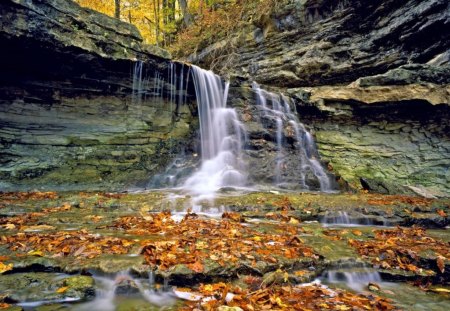 Forest Fall - autumn, trees, leaves, stones, creek