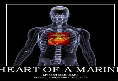 Heart Of A Marine - marines, usmc, marine corps, recon