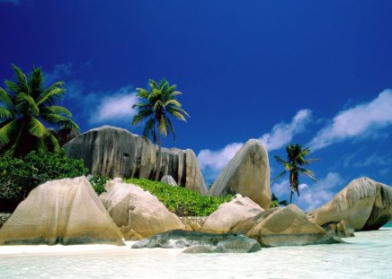 Paradise - paradise, palms, nature, beach