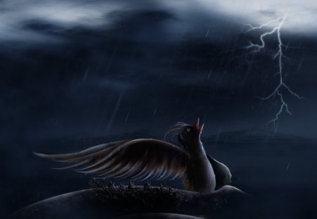 lightning bird - bird, clouds, lightning, wings