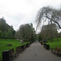 Walking at the Park