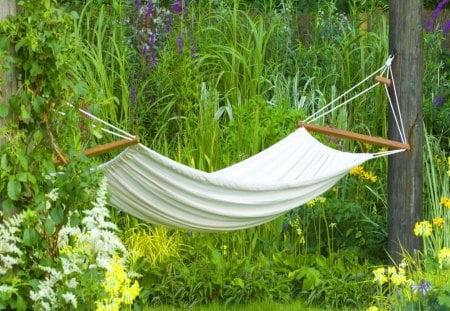 Relax in nature - trees, hammock, greenery, park, summer, yard, nature, home, beautiful, rest, green, flowers, grass, garden, natural, relax