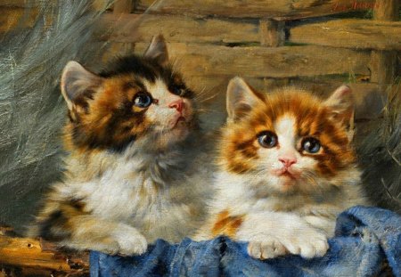 Pet kittens - buddies, fluffy, kittens, jeans, pets, kitties, paws, painting, home, look, cute, two, adorable, picture, wall, cats, friends, sweet