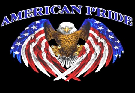 American Pride - usmc, marine corps, marines, recon