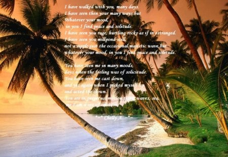 Beach with coco.... - poem, palm tree, sea, coconut tree