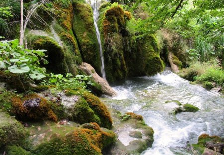 ENCHANTED CORNER - waterfalls, water, rivers, streams, ponds, moss, forests, green, foliage