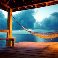 Relaxing Hammock on a beach