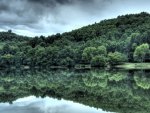 forest reflected in river in green hue hdr