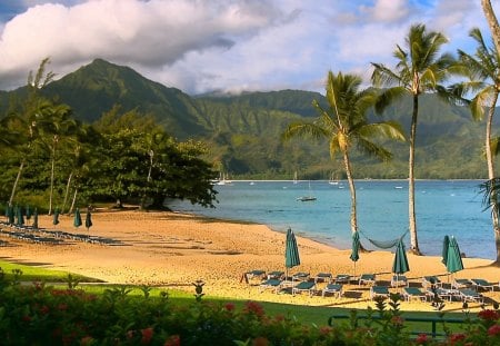 beautiful hawaiian beach - boats, lounges, palms, beach