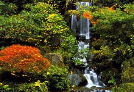 Waterfall - nature, water, garden, waterfall