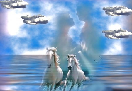 wild love - clouds, water, horses, couple