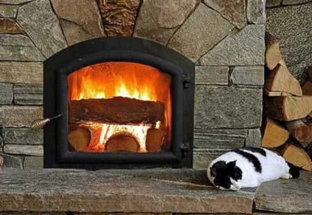 good place for dreaming.... - cat, animals, fireplace, dreaming