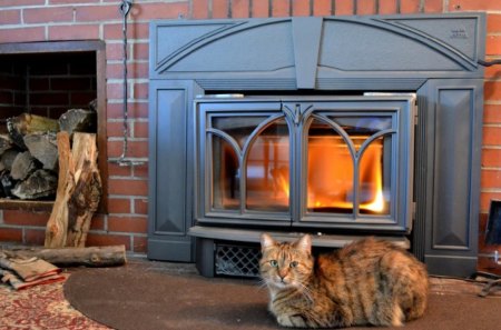 by fireplace - resting, fireplace, animals, cat