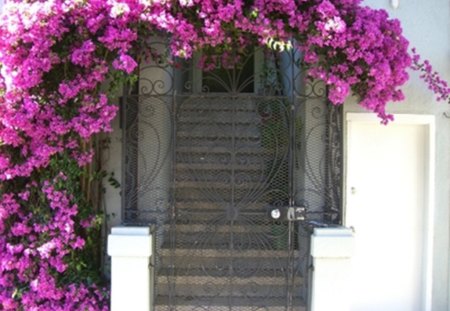 come in - flowers, pink, gateway, arch