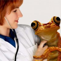 Frog series10  --froggy at the clinic