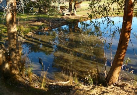 Reflection - trees, water, reflection, nature