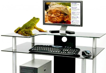 Frog Series17    Frog surfing the internet - green, series, funny, frog