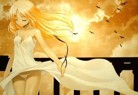 Anime Girl - Beautiful sunset? or Beautiful Girl? - clouds, birds, dress, girl, sun