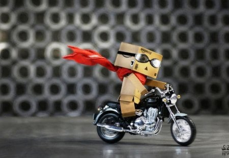 Biker Danbo - bike, biking, sunglasses, joke