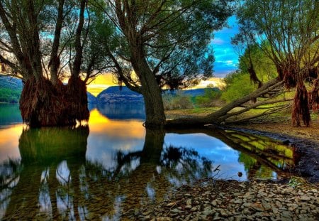 Morning sun over the lake - summer, light, reflection, shore, riverbank, lake, nice, sky, trees, water, beautiful, morning, lovely, lakeshore, glow, river, nature, rays, peaceful