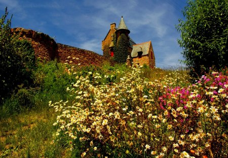 Houses on mountain slope - cottage, slope, sky, houses, mountain, summer, nature, view, beautiful, clouds, flowers, cabin, high