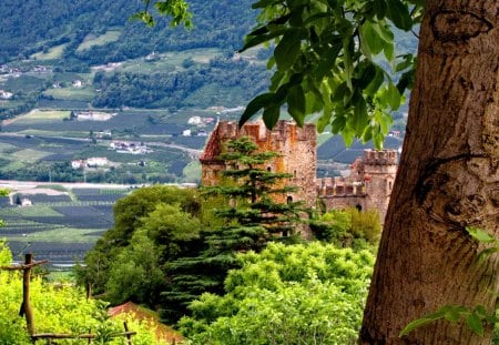 View from the castle - greenery, trees, branches, summer, town, high, city, lovely, path, nature, view, green, nice, castle