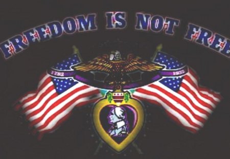 Freedom Is Not Free - usmc, marine corps, marines, recon