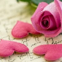 ~Pink rose and hearts on old handwriting~