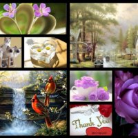 â™¥ For my dear friend cheryl63 â™¥
