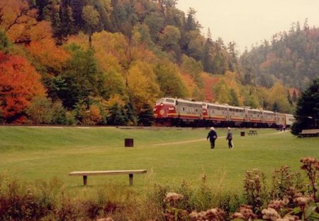 Train Ride Through Agawa Canyon - train, locomotive, railroad, canyon, agawa