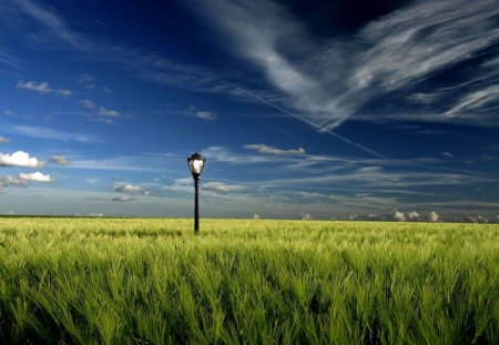 Scenic View - field, scenic, view, landscape