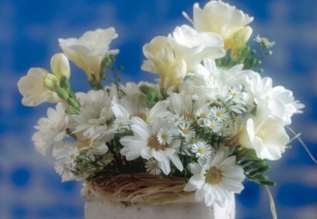 The Beauty of an All White Bouquet - white, arrangement, flowers, bouquet, daisy, rose