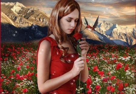 field of red flowers - mountains, flowers, girl, clouds