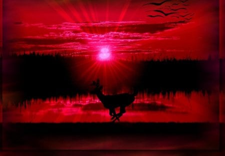 red sunset - rays, water, deer, birds