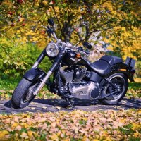 AUTUMN WITH HARLEY