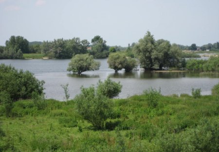 Flooded.. - nature, water, flood, river