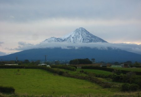 mount taranaki - farmland, snow, trees, new zealand