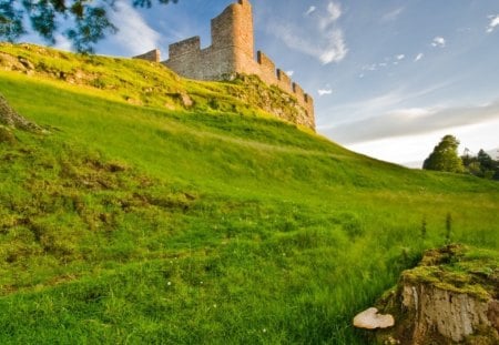 beautiful castle hume scotland - hill, mushroom, tree stump, castle, grass