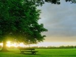 bench in sunlight