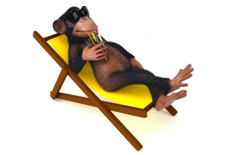 Monkey on vacation - drink, relax, fun, summer, vacation, monkey