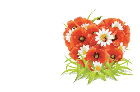 poppi daisy heart - flowers, poppi, heart, daisy, flower