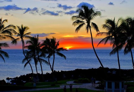 TROPICAL SUNSET - palms, sunset, beach, hawaii, resort